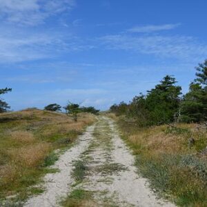 Vakantie voor rolstoelgebruiker