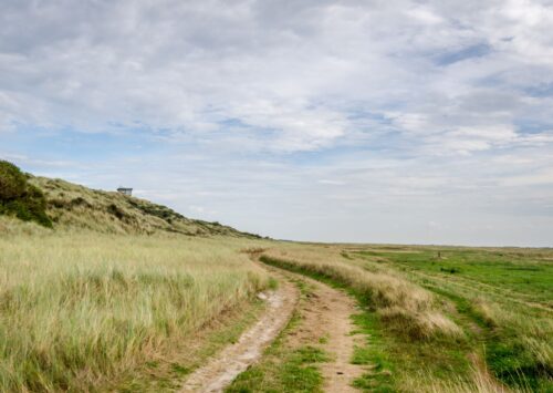 Wadden eiland, Terschelling