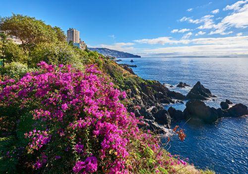 Funchal (Madeira), Portugal