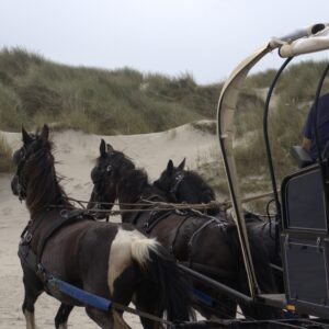 Midweek Terschelling