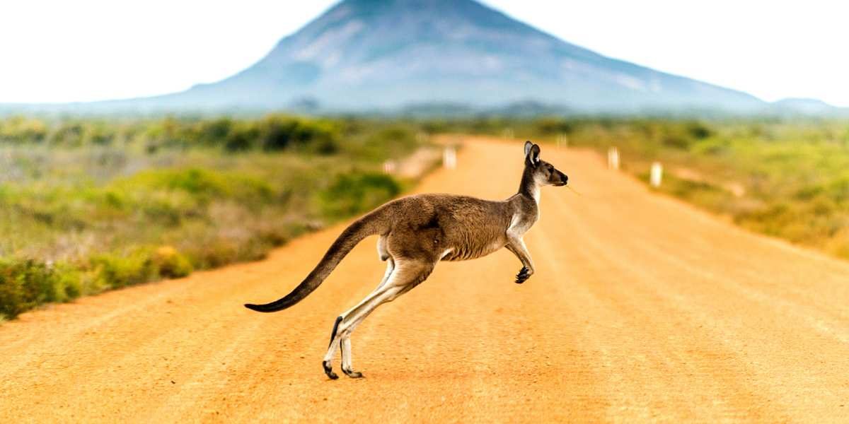 Australië