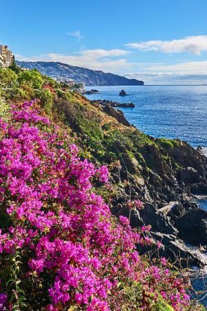 Funchal (Madeira)