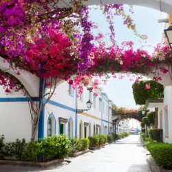 Gran Canaria, zorgreizen