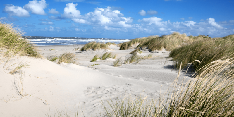 Vervanger1. Ameland Rolstoelvakantie