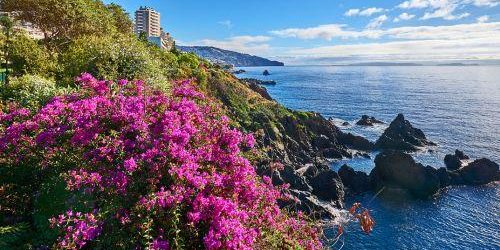 Funchal (Madeira), Portugal