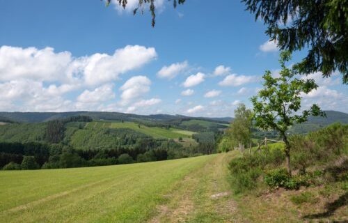 Sauerland